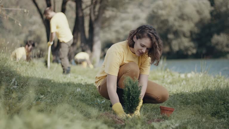 Best Stump Grinding and Removal  in Memphis, FL